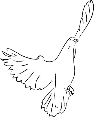 Black and White Dove Ascending