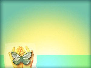 Butterfly in Hands Photo
