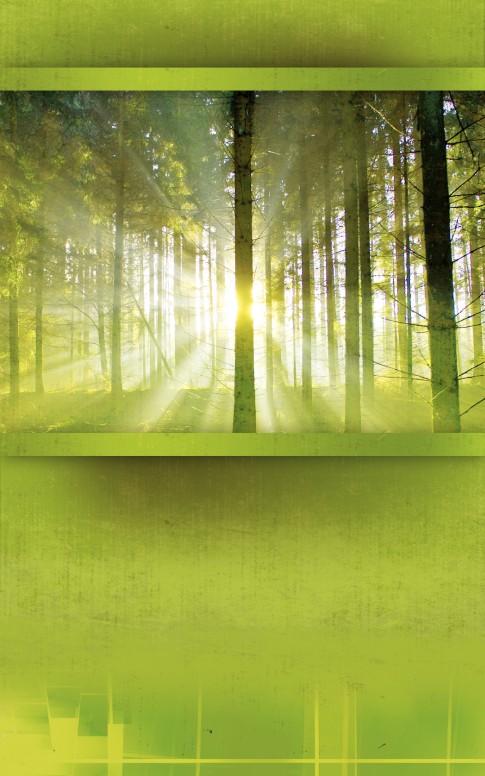 Radiant Church Bulletin Cover