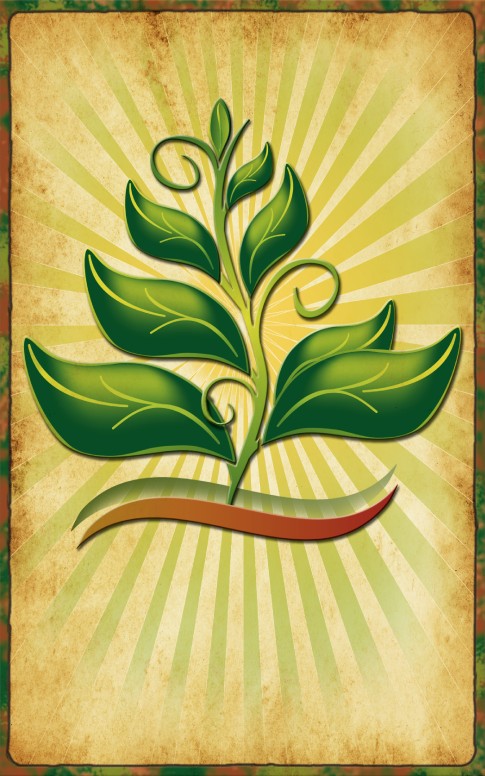 Growing In The Spirit Bulletin Cover Template