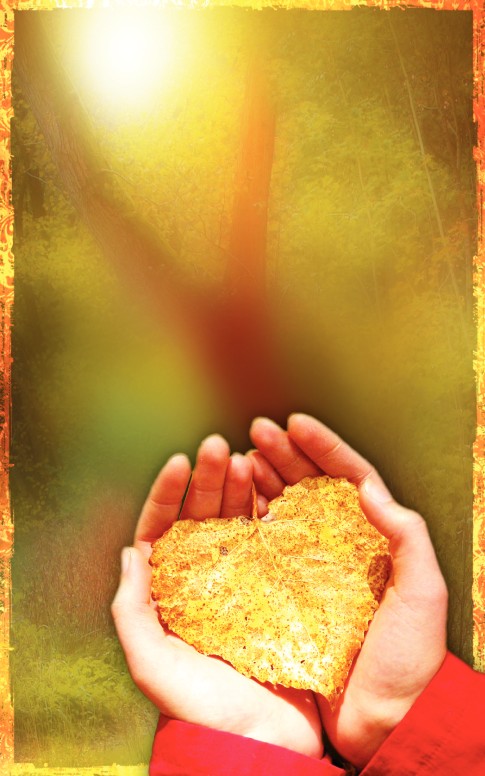 Giving Thanks Bulletin Cover