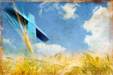 Cross Harvest Video Background