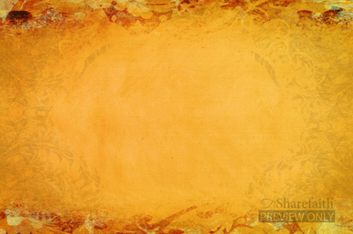Harvest Colors Background Video