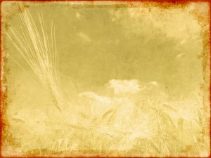 Worship Background For Harvest