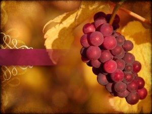 Thanksgiving Joy Background Slide