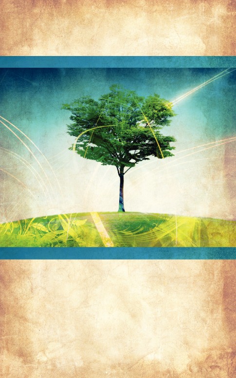Creation Bulletin Cover