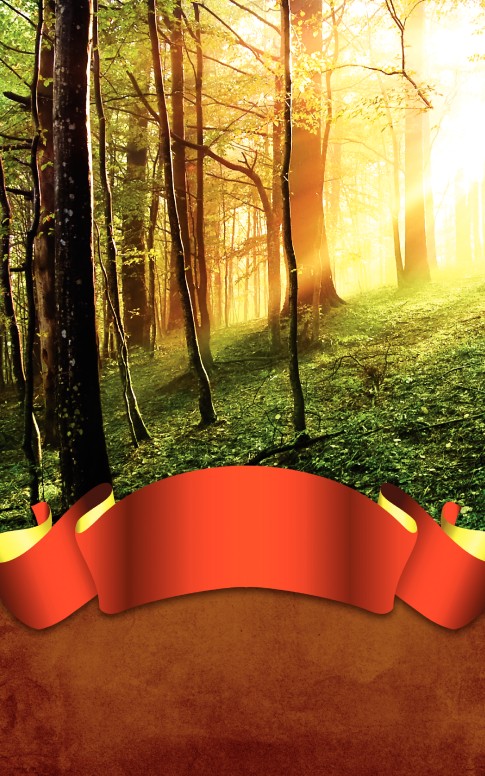 Forest Bulletin Cover