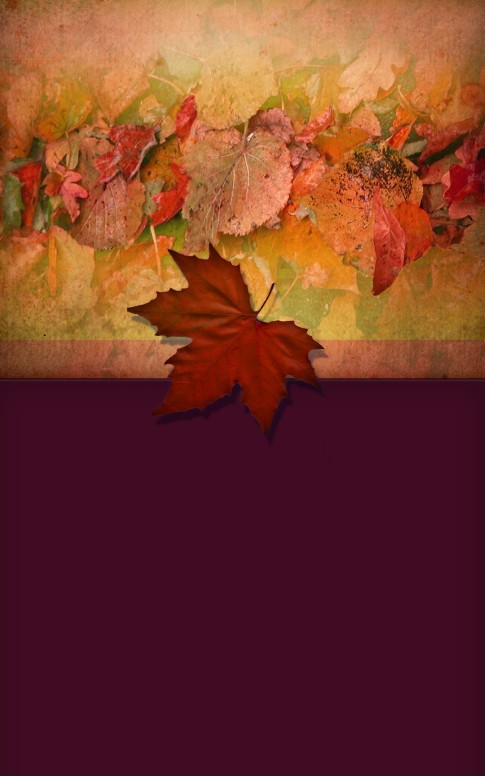 Pictures of Leaves Bulletin Cover