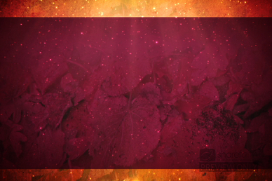 Fall Season Worship Video Loop