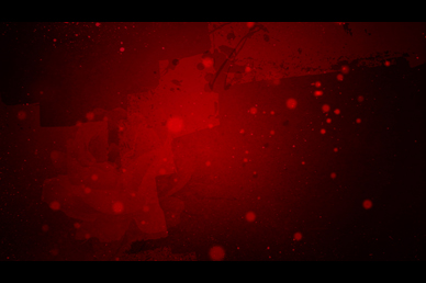Valentine's Day Red Rose Worship Video