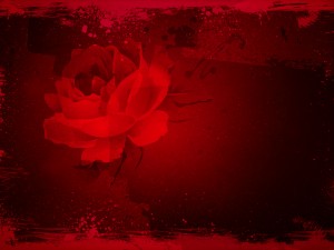 Valentine's Day Roses Worship Background
