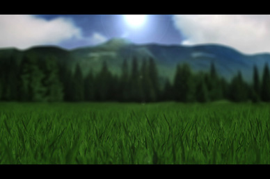 Field Worship Video Loop