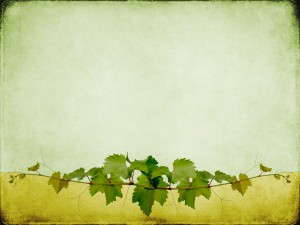 Vines Worship Background