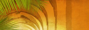 Hosanna Website Banner