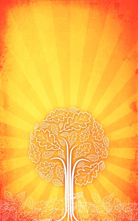 Orange Tree Bulletin
