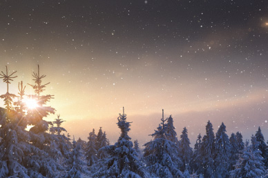 Winter Church Video