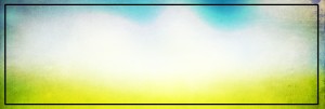 Morning Light Website Banner
