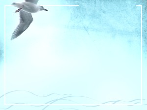 Seagull Worship Background