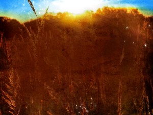 Nature Field Worship Background