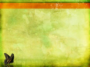New Life Butterfly Worship Background