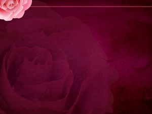 Rose Worship Template