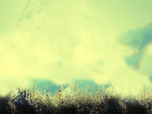 Grassy Hill Worship Background