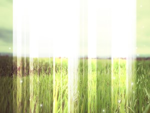 Green Fields Worship Background