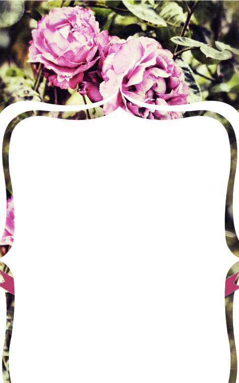 Roses Church Bulletin cover