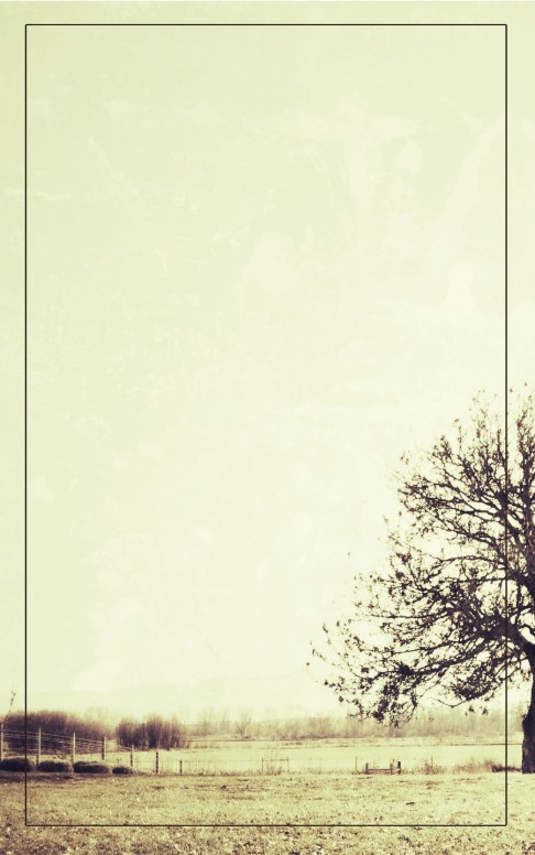 Tree Nature Bulletin Cover