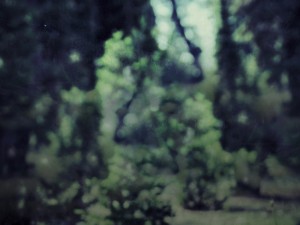 Nature Scene Background