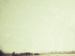 Country Fields Background