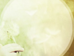 Dandelion Worship Background