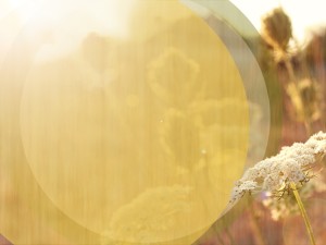 Peace of God Worship Background