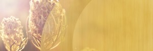 Field Scenery Website Banner