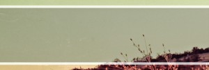 Scenic Field Website Banner