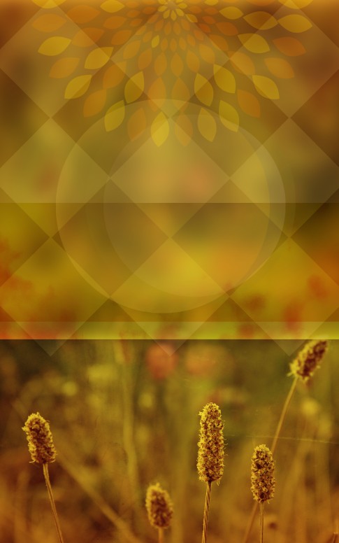 Wheat Church Bulletin Cover