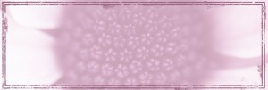 Godly Woman Website Banner