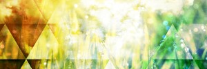 Shapes and Grass Website Banner