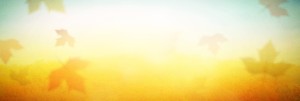 Fall Leaves Church Website Banner Grahpics