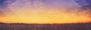 Harvest Field Autumn Fall Graphics Website Banner