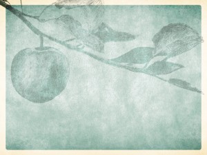Bearing Fruit Worship Still