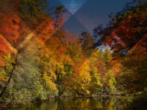 Triangle Trees Worship Background