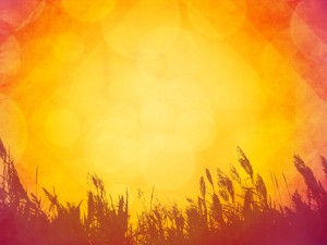 Fiery Autumn Fields Religious Background