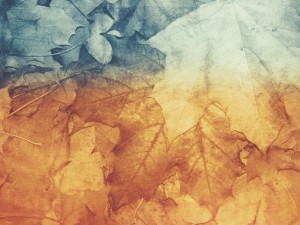 Fall Nature Ministry Background