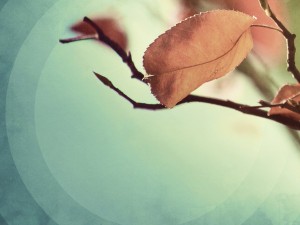 Find Rest My Soul Church Wallpaper