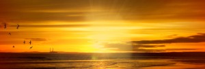 Wait on the Lord Church Website Banner