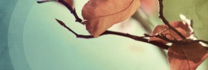 Find Rest My Soul Church Banner