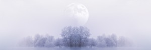 Prince of Peace Christmas Website Banner