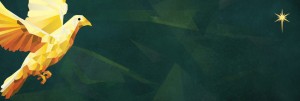 Experience True Peace Christmas Web Banner