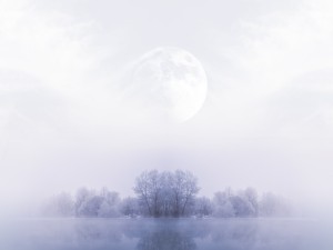 Prince of Peace Christmas Wallpaper